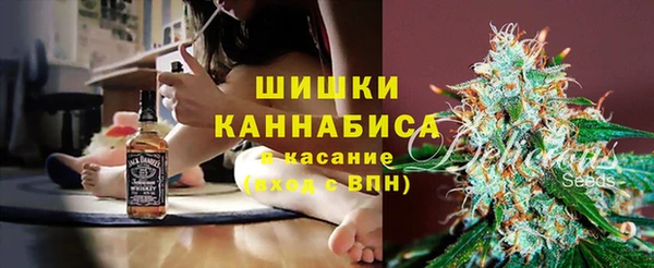 винт Алзамай