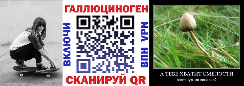 Галлюциногенные грибы Cubensis  mega сайт  Новосиль 